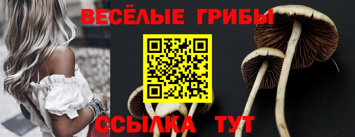 Галлюциногенные грибы мицелий  Галлюциногенные грибы Psilocybe  Пенза  Вход с VPN 