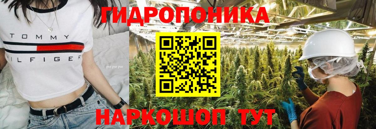 Бошки Шишки гибрид Пенза